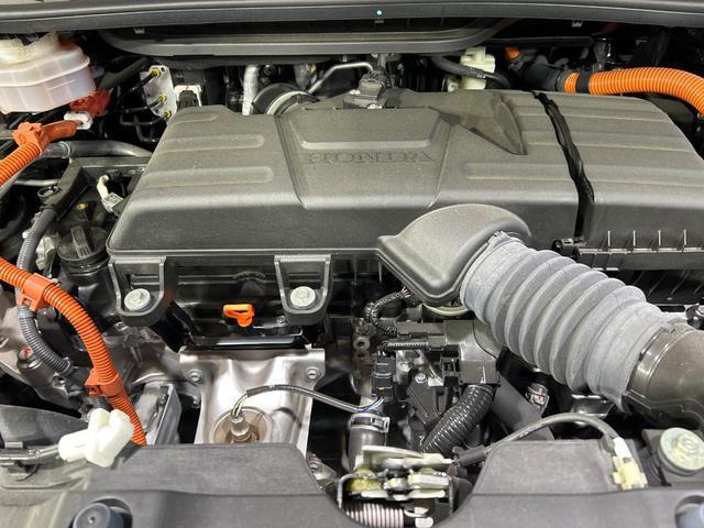 22242744_carP_l_16.jpg