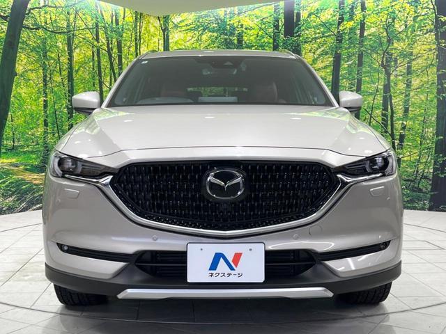 21834999_carP_l_8.jpg