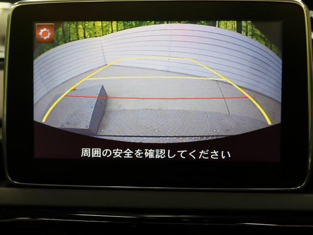 21306690_carP_l_10.jpg