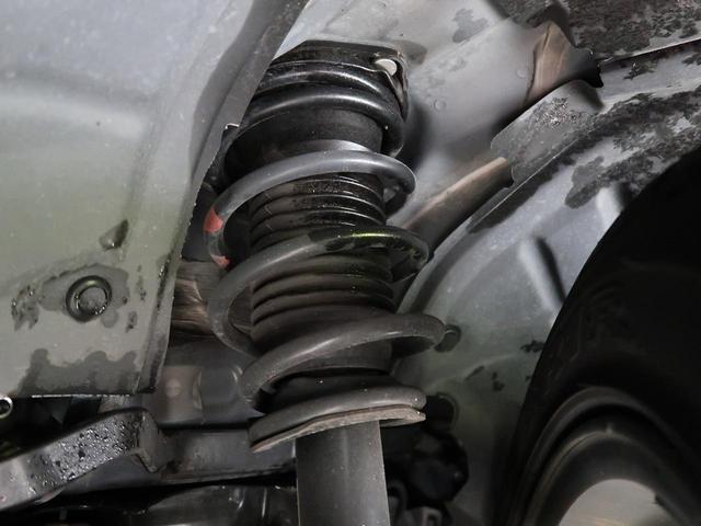 21306690_carP_l_20.jpg