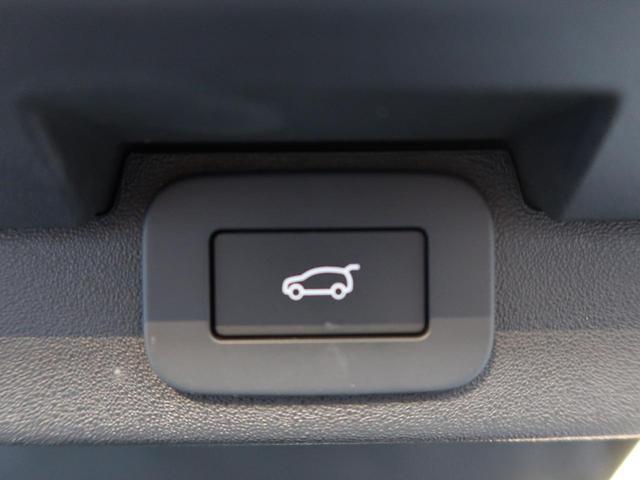 22223743_carP_l_6.jpg