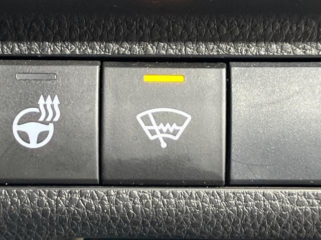 22956897_carP_l_14.jpg