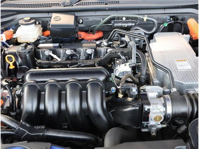 22744809_carP_l_18.jpg