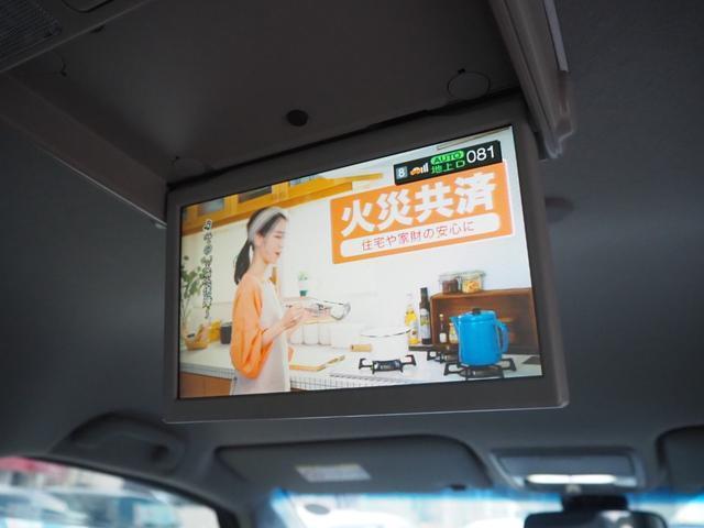 21144112_carP_l_14.jpg