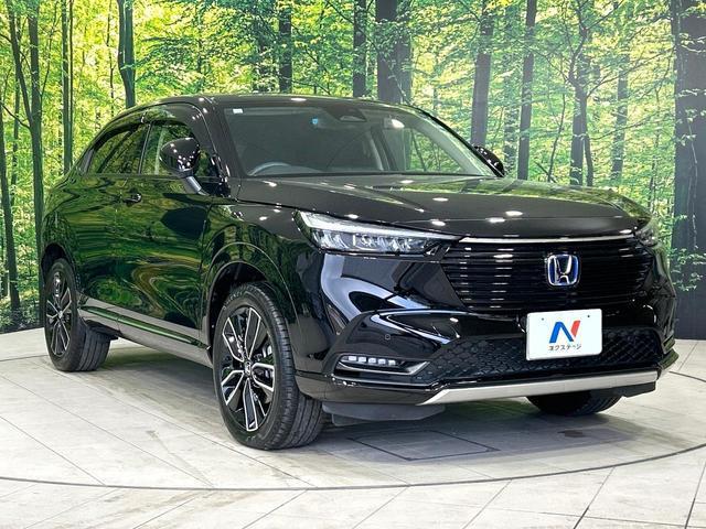 21817670_carP_l_11.jpg