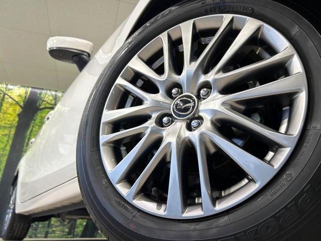 20974625_carP_l_7.jpg