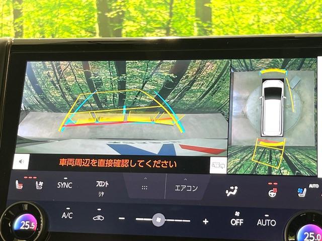 23111828_carP_l_14.jpg