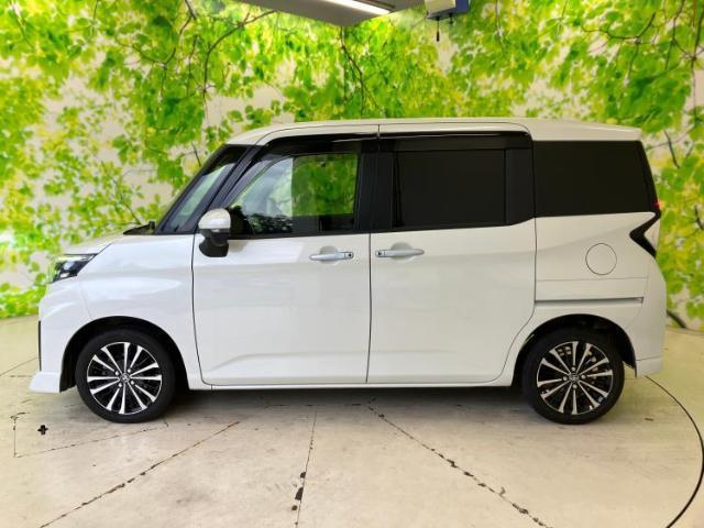 20794762_carP_l_3.jpg