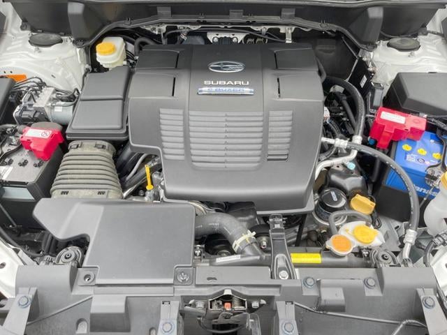 19567887_carP_l_16.jpg