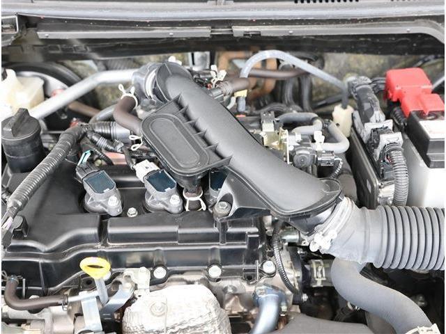22605452_carP_l_20.jpg