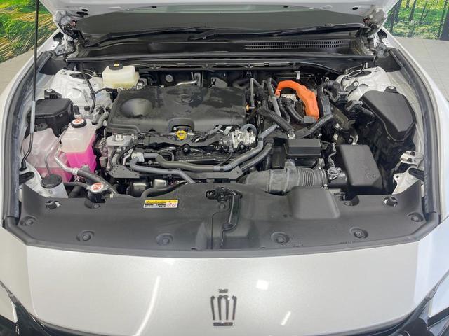 21218759_carP_l_16.jpg