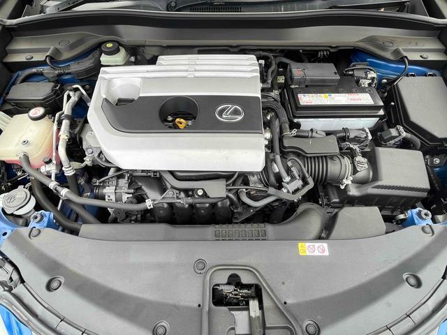 21997771_carP_l_7.jpg