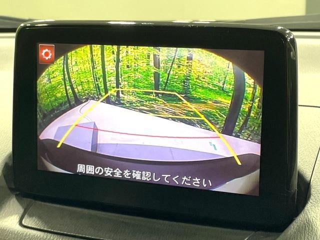 18711769_carP_l_4.jpg