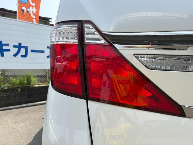 0706954A30260329W00217.jpg
