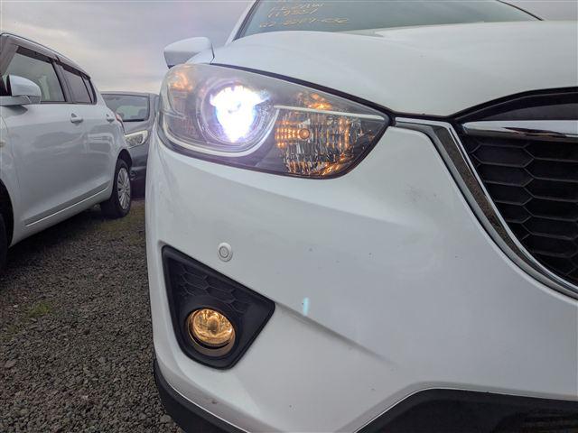 26.jpg