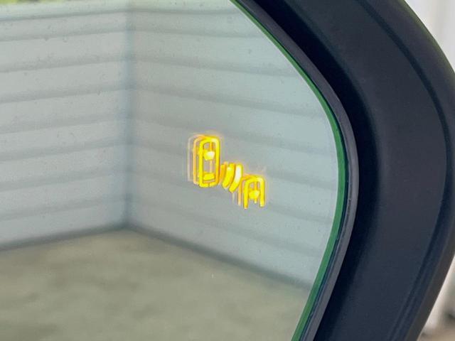 21343376_carP_l_10.jpg