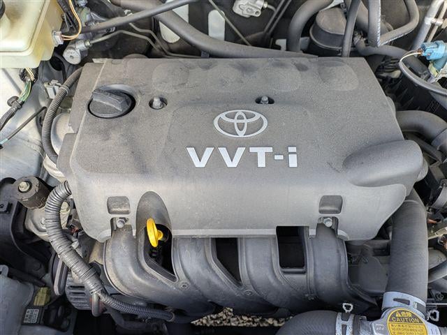 08.jpg
