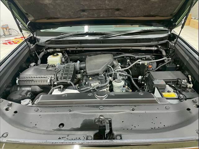 22255853_carP_l_11.jpg