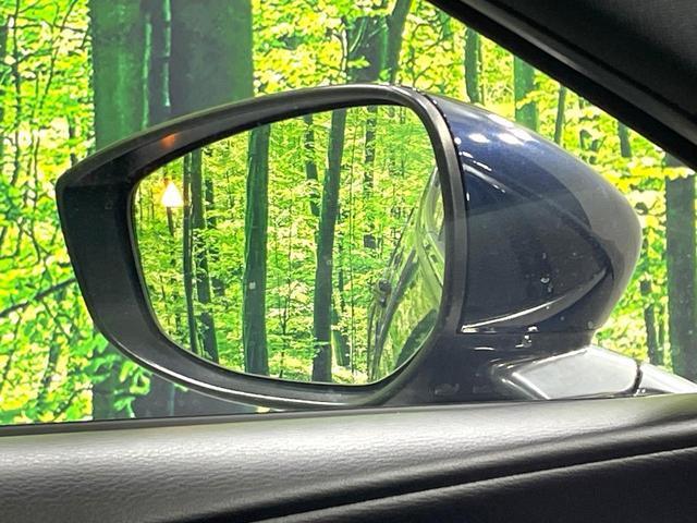 21910386_carP_l_17.jpg