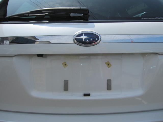 0704211A30250829W00111.jpg