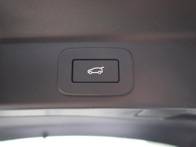 22467650_carP_l_6.jpg