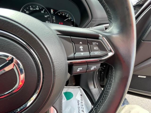 0900710A30250130W00219.jpg