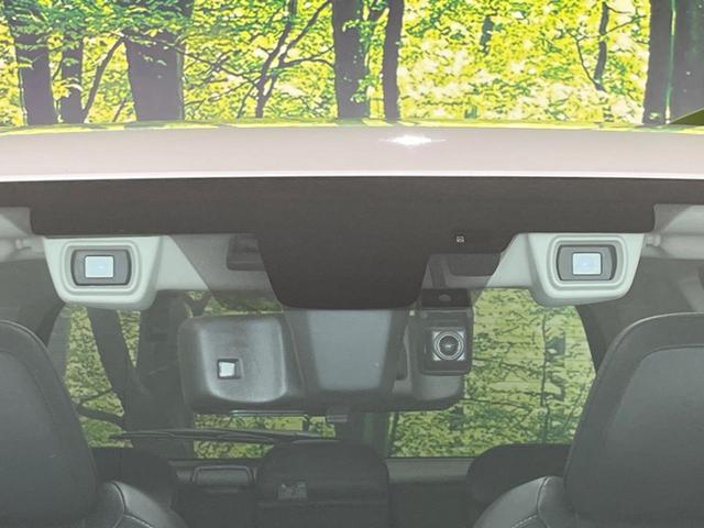 22994649_carP_l_10.jpg