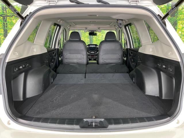 22994649_carP_l_6.jpg