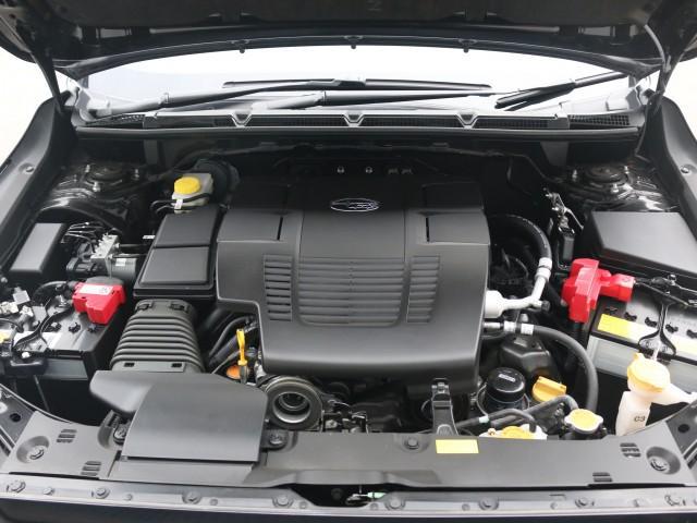 21878336_carP_l_17.jpg