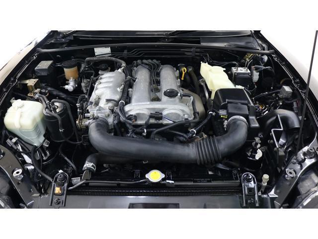 19834322_carP_l_6.jpg