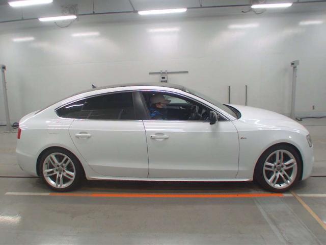 22033815_carP_l_10.jpg