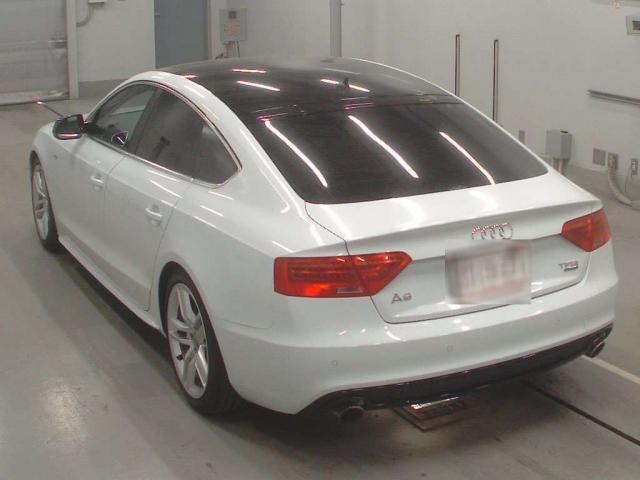 22033815_carP_l_13.jpg