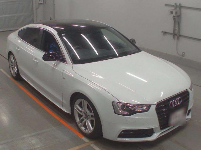 22033815_carP_l_17.jpg