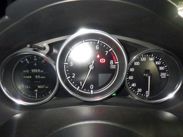 22549006_carP_l_13.jpg