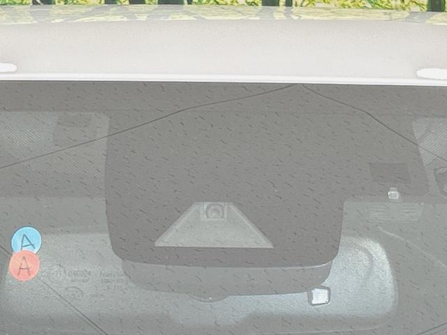 21637956_carP_l_10.jpg