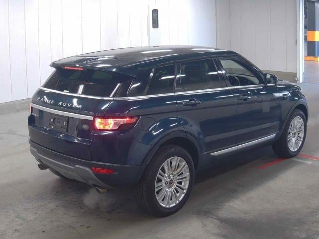 16860685_carP_l_13.jpg