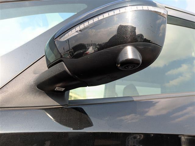 41.jpg