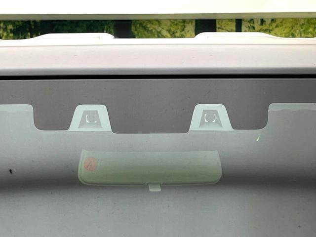 21044499_carP_l_15.jpg
