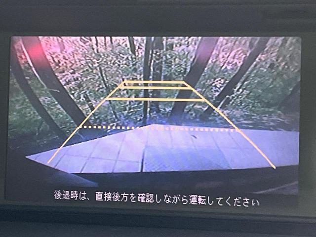 21689906_carP_l_10.jpg