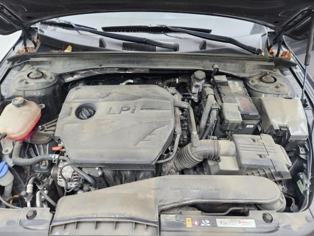 lotterental_141122909_eafcN_2.jpg