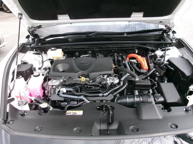 1000175A30251223W00116.jpg
