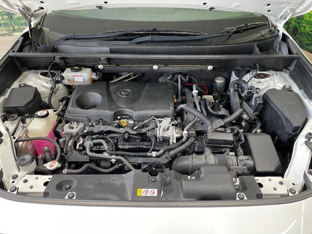 22355009_carP_l_18.jpg