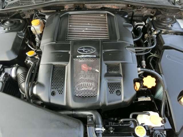 17948728_carP_l_12.jpg