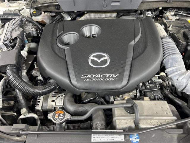 21254706_carP_l_18.jpg
