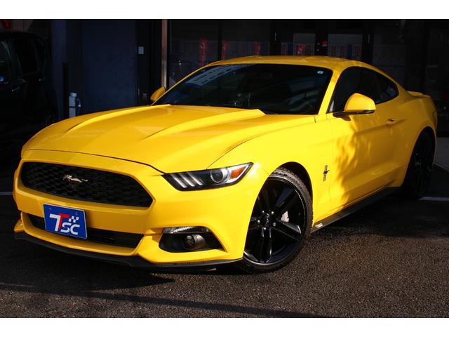 0520216A30260202W01419.jpg