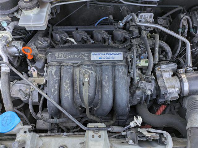 08.jpg