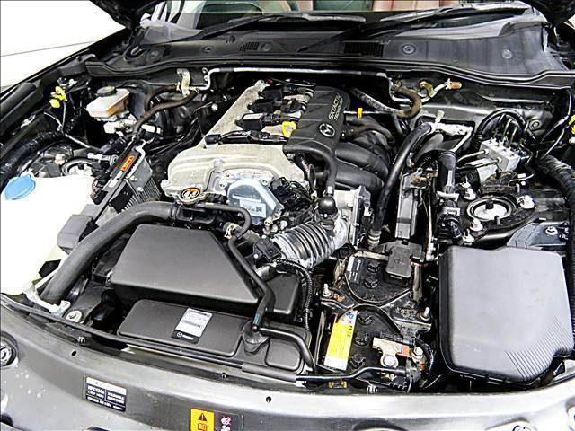 19595451_carP_l_20.jpg