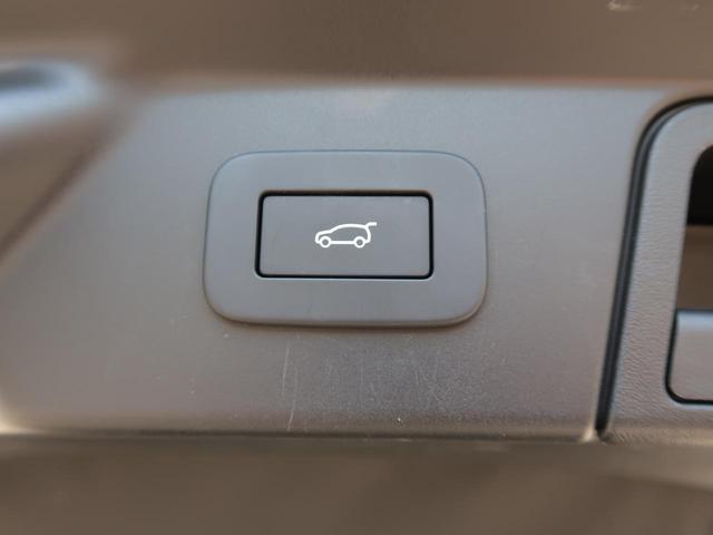 22799491_carP_l_2.jpg