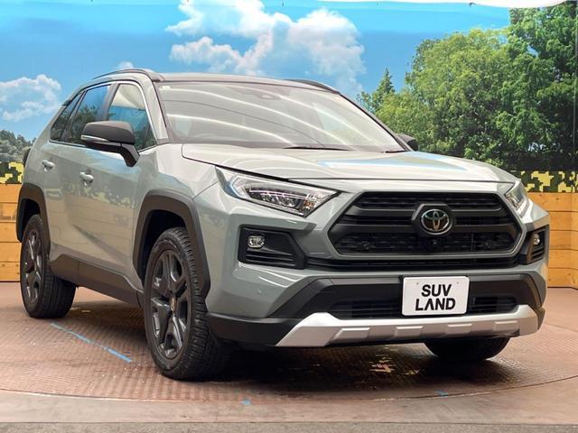 21798925_carP_l_12.jpg