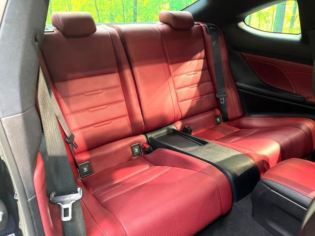 22505662_carP_l_19.jpg